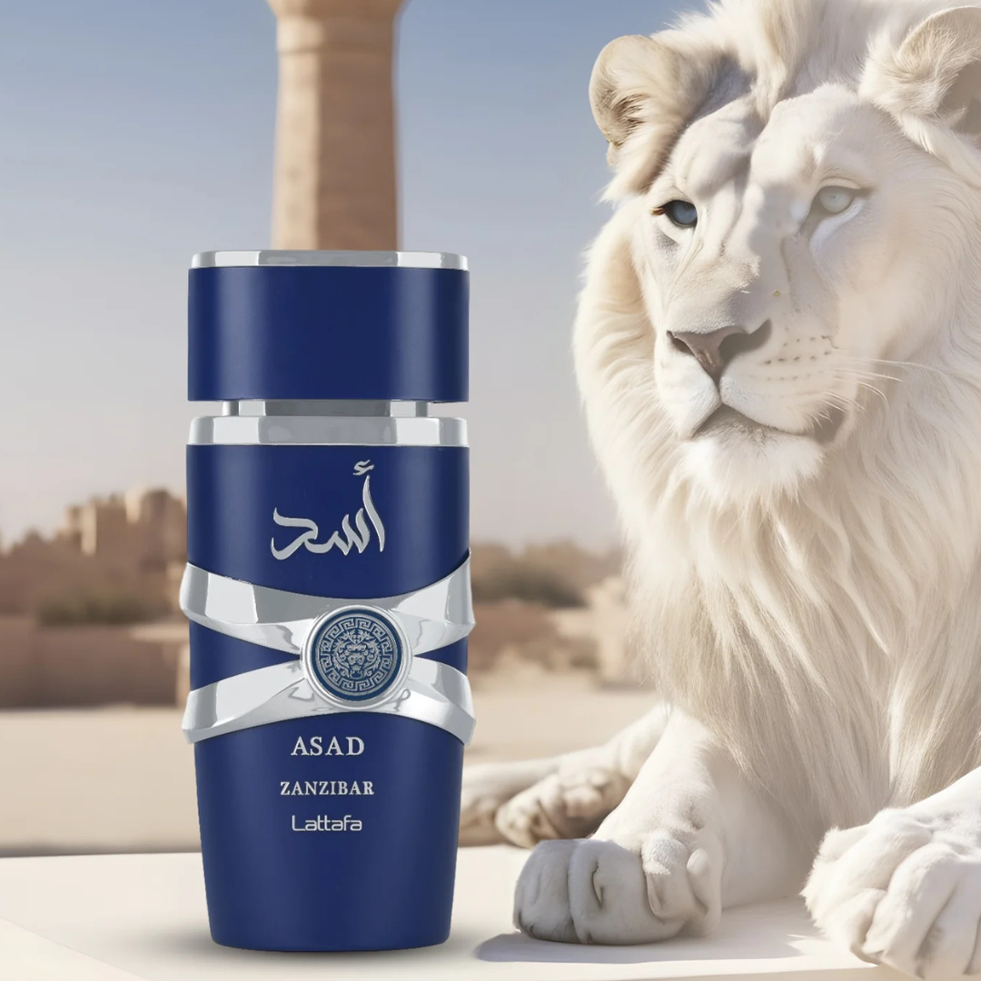 Lattafa Asad Zanzibar EDP Herren (Inspiriert von Jean Paul Gaultier Le Beau)